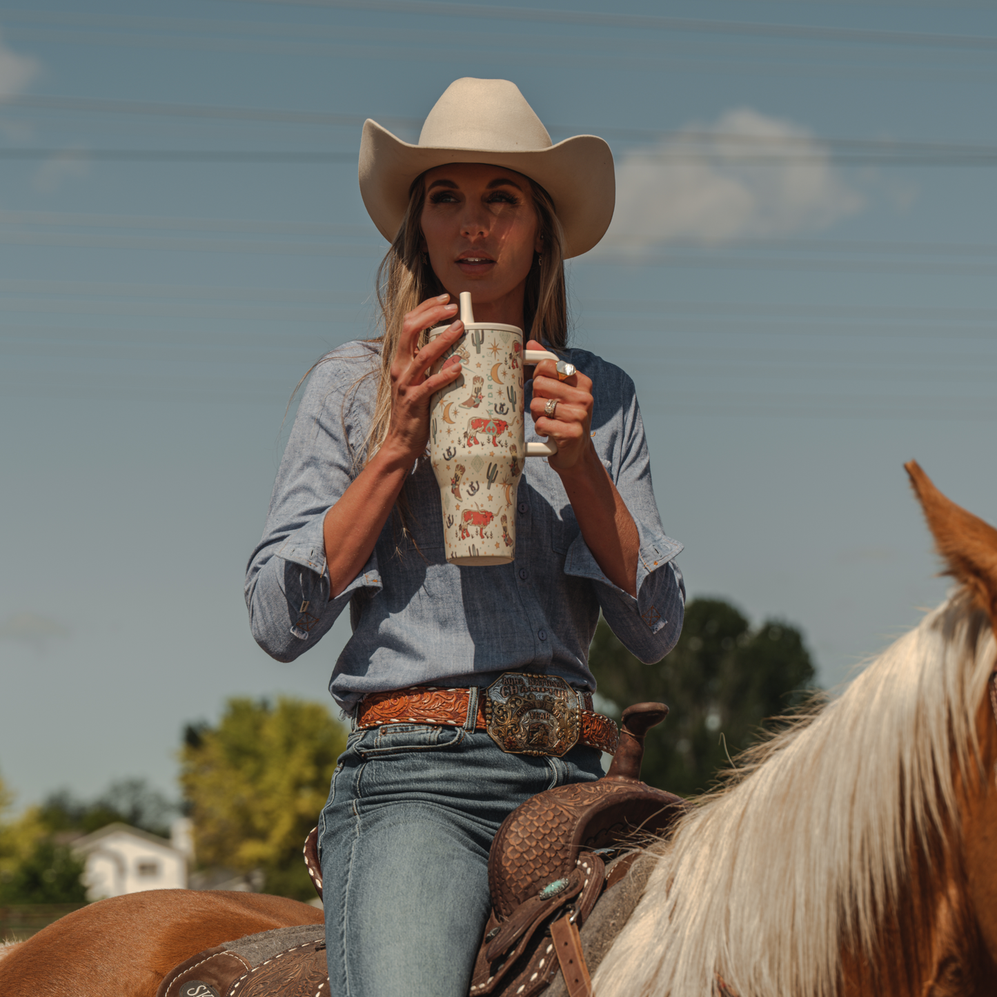rodeo-p9 TRVL-Rodeo-6WPI.png