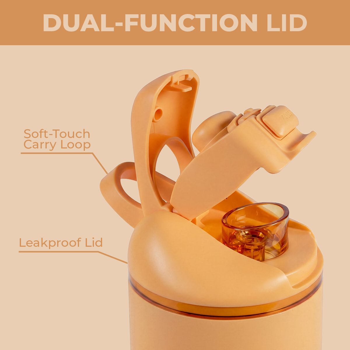 marigold-y4 Ease24-Marigold-WPI-6.png