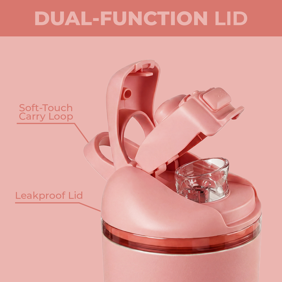 tulip-y0 Ease24-Tulip-WPI-6_ca52bb79-3733-4f38-b696-2a02330b679a.png