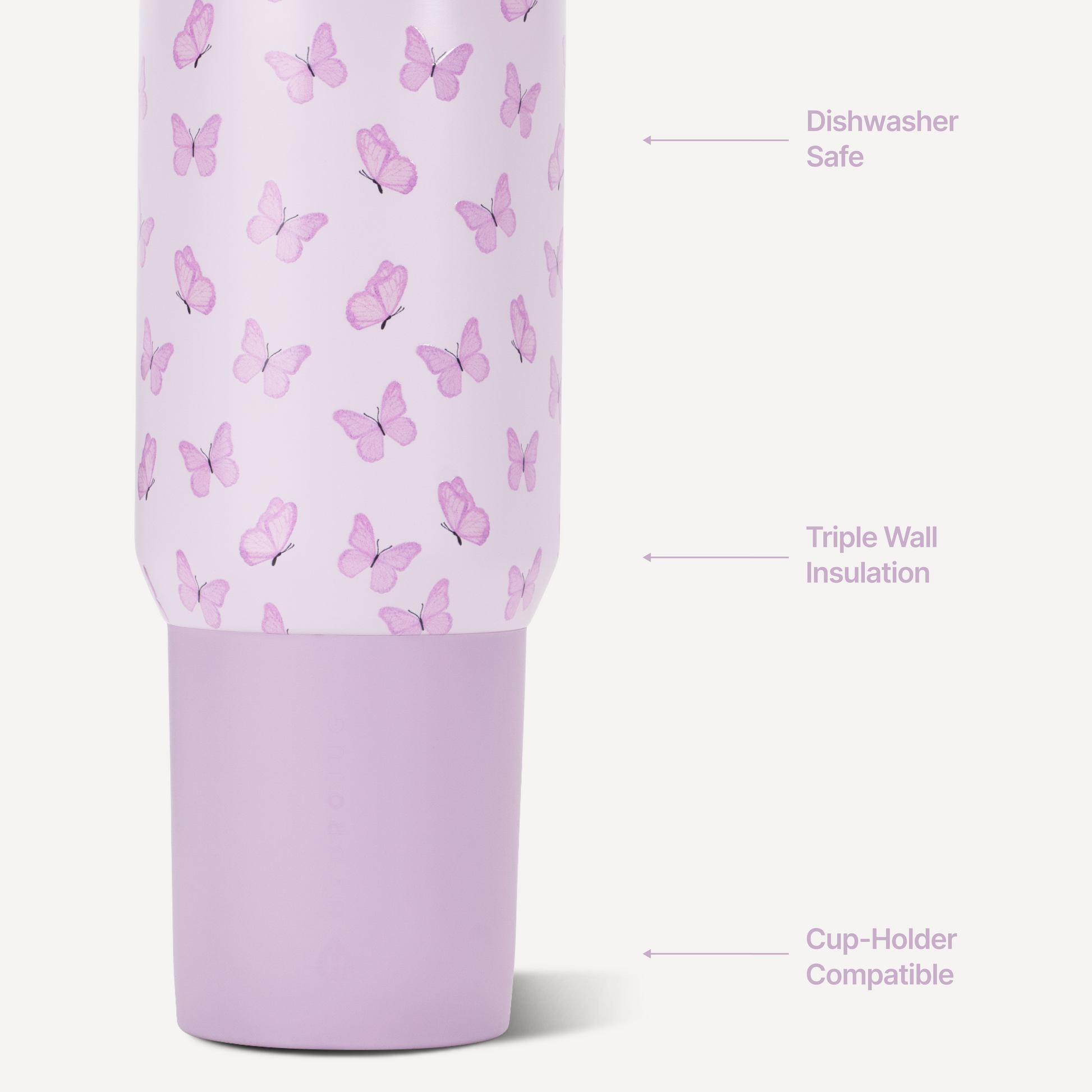 flutter-t2 Sport20-Flutter-3-WPI.png